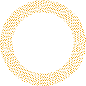 https://www.intris.in/wp-content/uploads/2021/06/img-floater-8.png